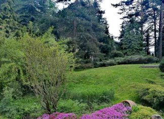 SAVREMENE TEHNOLOGIJE PROIZVODNJE U POLJOPRIVREDI SRBIJE