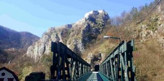 DR JELENA RAKOVIĆ RADIVOJEVIĆ: Izneto niz neistina