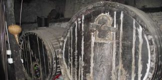 Rajačke i Rogljevačke pi(mn)vnice, sela vina i istorije