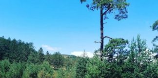 Servisne informacije/AVGUST Lepo vreme na početku meseca