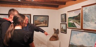 KOLONIJA U TRNAVI Izložba Vlada Mitrovića