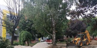 UREĐENJE PARKA Za radove 13 miliona dinara