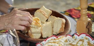 RAPSODIJA DOBRIH UKUSA Na Sava Promenadi