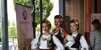 STO IZLAGAČA Iz Srbije i regiona na Festivalu vina
