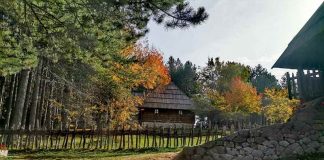 Stanoje Stamatović Glavaš Junak, hajduk, vojvoda