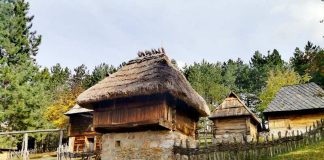 MLADI I MUZEJI Zainteresovani za radionice