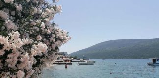 TRIKOVI ZA JEFTINA PUTOVANJA Kojima vas niko nije naučio