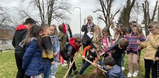 „DA ŠUME BUDE VIŠE! Da se lepše diše!“