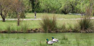 ZAVRNI RUKAVE Dan planete Zemlje