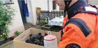 VANREDNA SITUACIJA U užičkim selima