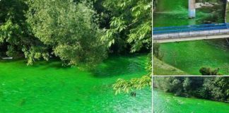 ZELENA ĐETINJA Najstrožija kazna za zagađivača