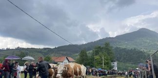 VIŠEBOJ U JABLANICI Čuvari tradicije ovog kraja