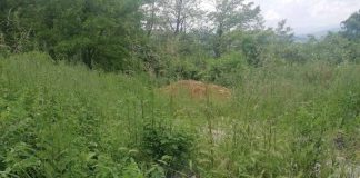 DIVLJE DEPONIJE Za uklanjanje 2,6 miliona dinara