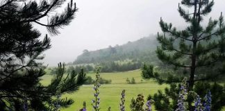 LETNJA SEZONA Može da počne na Zlatiboru