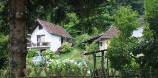 NEKOLIKO SAVETA Za uređenje dvorišta kao iz snova