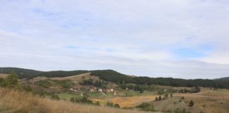 SELIMIR RADULOVIĆ Dobitnik Povelje Pesničke vatre zlatiborske