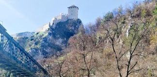 OTKRIJTE TAJNU Ravnoteže vlasišta i njene prednosti