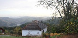 ŽENE U SELIMA Prijaviti nasilje, još uvek je sramota!