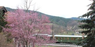 JOVAN GOGIĆ Najbolji na Konkursu „MOJ ZELENI SVET“