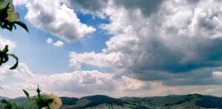 „ZLATIBORE PITAJ TARU“ Promocija knjige u Beogradu