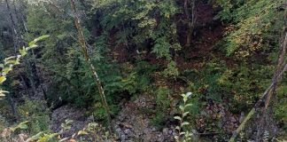 KORITO REKE GRAČANICE SUVO Zbog pohlepe investitora