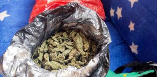 UHAPŠEN SEVOJNIČANIN Zbog proizvodnje i prometa droge