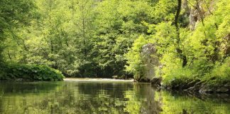 GRAD UŽICE OPSTRUIRA Sprovođenje građanske inicijative