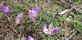 PRVI DAN PROLEĆA Sunčano, u subotu preko 20 stepeni