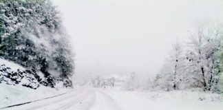 ZIMA U MARTU Veje na Tari i Zlatiboru (VIDEO)