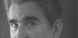 IN MEMORIAM Prof. dr Vidan Nikolić