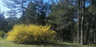 PLANETA PROTIV PLASTIKE U akciji preko 50 država