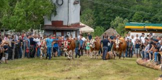 SEOSKI VIŠEBOJ U JABLANICI Pratio veliki broj meštana i gostiju