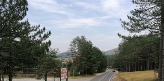 FOKUS NA PUTU Međunarodna akcija do 13. oktobra