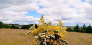 NAJVEĆI MITOVI O ZDRAVLJU Šta je istina, a šta nije?