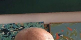 VLADAN TERZIĆ: Pedeset godina slikam prirodu