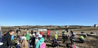 POŠUMLJAVANJE Zajedno stvaramo zeleniji i zdraviji Zlatibor!