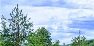 U susret prvomajskim praznicima Zanimljiv program na Zlatiboru