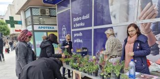 CVET KOJI ŽIVOT ZNAČI Ulična akcija Savetovališta „Jefimija“
