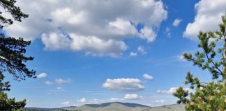 Zašto se mladi vraćaju u manje gradove ŠTA TAMO PRONALAZE?