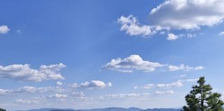 PORAST STRANIH GOSTIJU Na planini Zlatibor