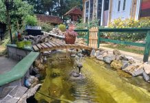 Izbor najlepšeg dvorišta na teritoriji grada Užica