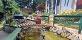 Izbor najlepšeg dvorišta na teritoriji grada Užica