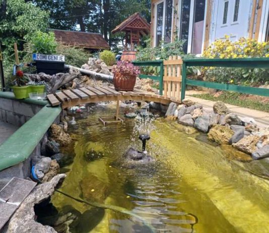 Izbor najlepšeg dvorišta na teritoriji grada Užica
