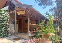 ANA OBRADOVIĆ Ima najlepše dvorište na teritoriji grada Užica