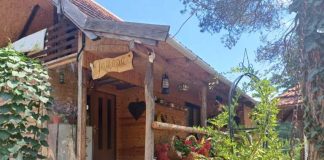 ANA OBRADOVIĆ Ima najlepše dvorište na teritoriji grada Užica