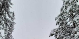 NA ZLATIBORU PRAVA ZIMA Neprohodan put preko Kadinjače