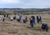 U AKCIJI POŠUMLJAVANJA Zasađeno dve hiljade sadnica bora