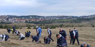 U AKCIJI POŠUMLJAVANJA Zasađeno dve hiljade sadnica bora