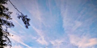 Dobri rezultati Preko 206.000 noćenja domaćih turista na Zlatiboru