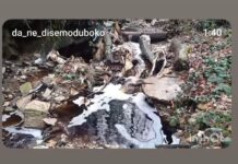 JKP DUBOKO Demantuje da je došlo do izlivanja opasnih materija